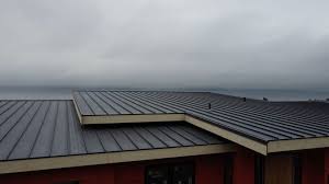 Best Roof Maintenance and Cleaning  in St Hedwig, TX